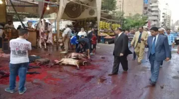 تصل للحبس.. ما هي عقوبة الذبح في الشارع خارج المجزر؟